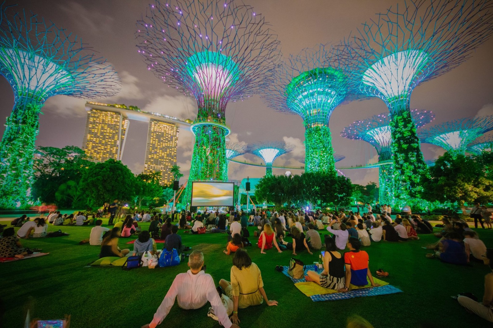Supertree Grove rực sáng trong màn Garden Rhapsody về đêm tại Gardens by the Bay