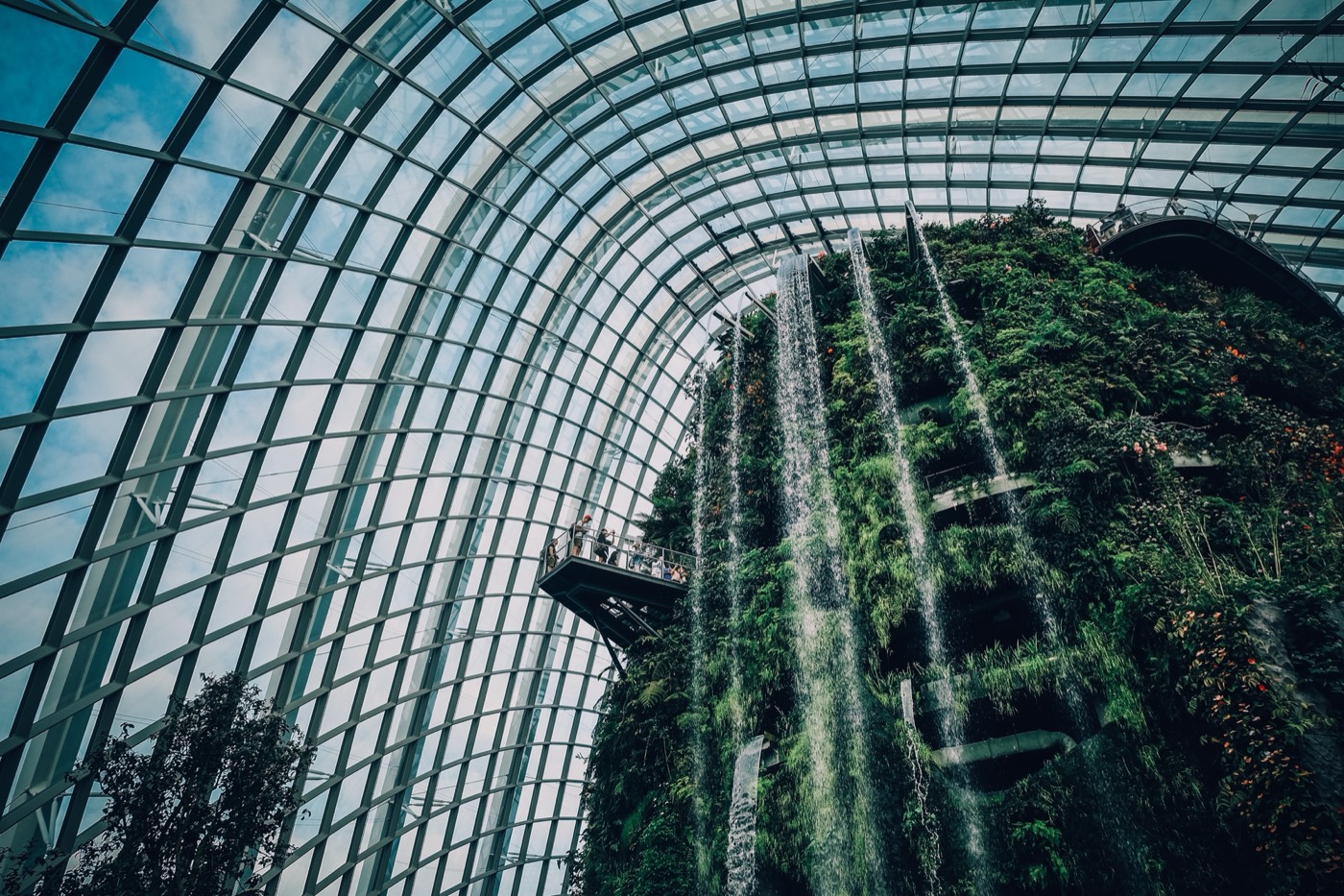 Cloud Forest · Gardens by the Bay